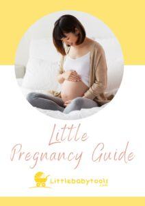 Free Pregnancy Guide Ebook - Little Baby Tools