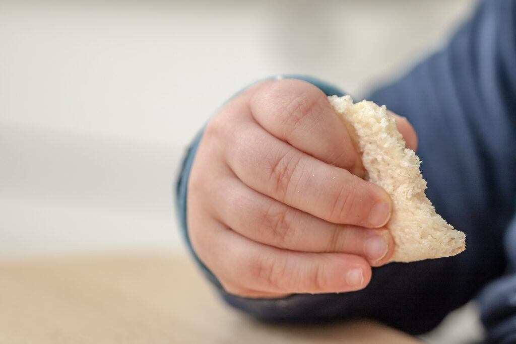 Baby Led Weaning Food Ideas