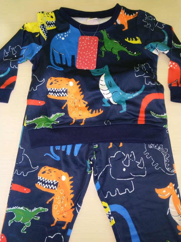 2-pc Dinosaur Long-Sleeve Pullover and Pants Set